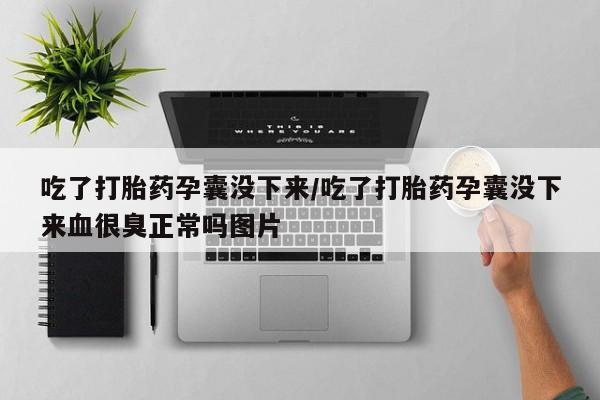 药流药吃了打胎药孕囊没下来/吃了打胎药孕囊没下来血很臭正常吗图片